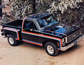 1977 Chevrolet Big 10