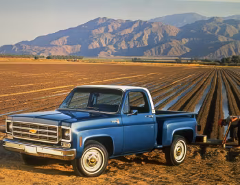 1977 Chevrolet C10 Cheyenne Stepside