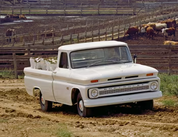 1966 Chevrolet C10 Fleetside Pickup (C1534)