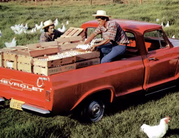 Chevrolet C14 '1968–73
