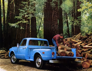 1969 Chevrolet C20 Custom Stepside Pickup (20904)