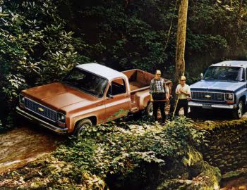 1973 Chevrolet C20 Fleetside Pickup Truck