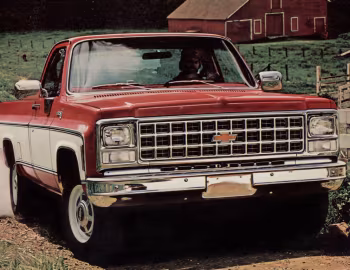1980 Chevrolet C20 Silverado Fleetside