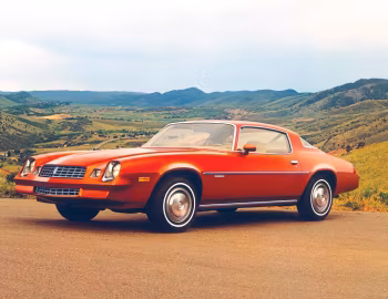 1978 Chevrolet Camaro Sport Coupe (1FQ87)