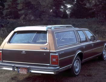 1978 Chevrolet Caprice Classic Estate (1B N35) '10.1977–78