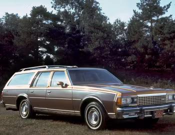 1978 Chevrolet Caprice Classic Estate (1B N35) '10.1977–78