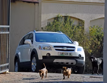 Chevrolet Captiva [South Africa] '2007–11