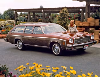 1974 Chevrolet Chevelle Malibu Classic Estate Wagon (1G 35)