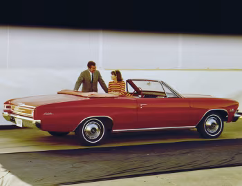 1966 Chevrolet Chevelle Malibu Convertible (13667) '10.1965–09.1966