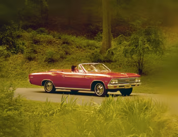 1966 Chevrolet Chevelle Malibu Convertible (13667) '10.1965–09.1966