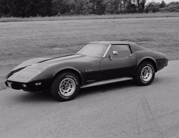 1976 Chevrolet Corvette Sport Coupe (1YZ37) '10.1975–76