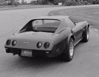 1976 Chevrolet Corvette Sport Coupe (1YZ37) '10.1975–76