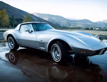 1979 Chevrolet Corvette (1YZ87) '09.1978–79