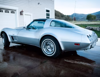 1979 Chevrolet Corvette (1YZ87) '09.1978–79