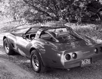 1982 Chevrolet Corvette (1YY87)