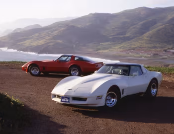 1981 Chevrolet Corvette (1YY87) '09.1980–81