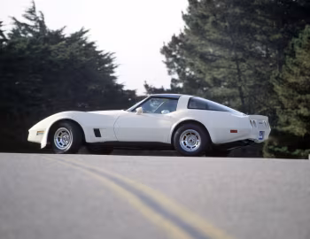 1981 Chevrolet Corvette (1YY87) '09.1980–81
