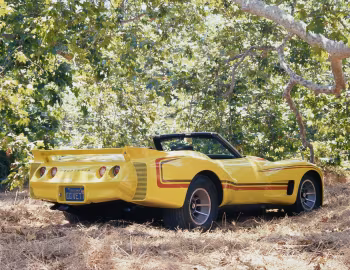 Chevrolet Corvette "CC Vett" Roadster (C3) '1976