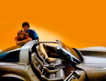 Interior 1982 Chevrolet Corvette Collector Edition (1YY07)