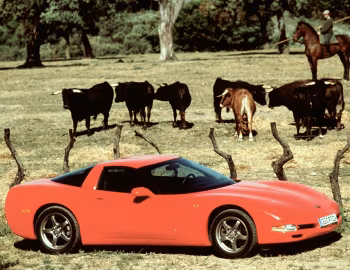 Chevrolet Corvette Coupe [Worldwide] (C5) '1997–2004