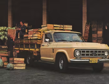Chevrolet D-10 '1979