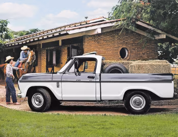 Chevrolet D-10 '1983