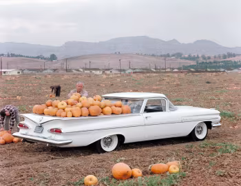Chevrolet El Camino, Halloween