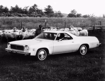 1974 Chevrolet El Camino Sedan-Pickup (1AC80)