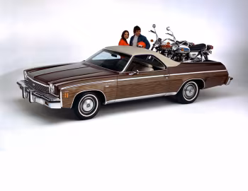 1973 Chevrolet El Camino Custom Estate (1AD80)