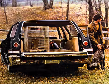 Ambos 1965 Chevrolet Impala Station Wagon
