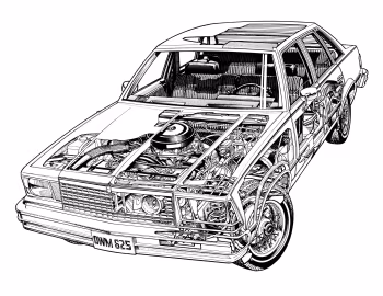 1979 Chevrolet Malibu Classic Sedan (W19)