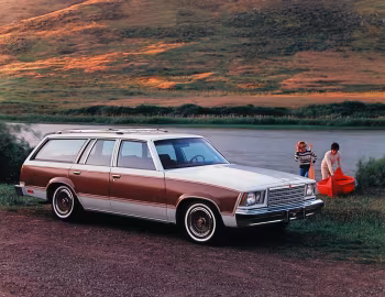 1979 Chevrolet Malibu Classic Estate Wagon (W35)