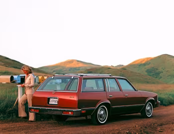 1979 Chevrolet Malibu Wagon (T35)