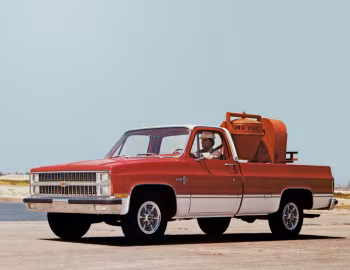 1981 Chevrolet С10 Silverado Fleetside (CC10903)