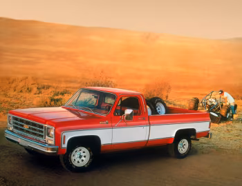 1979 Chevrolet С20 Silverado Fleetside
