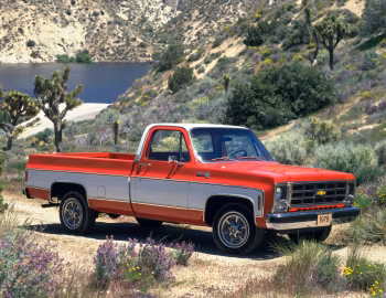 1979 Chevrolet С20 Silverado Fleetside