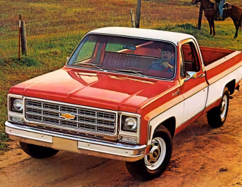 1979 Chevrolet С20 Silverado Fleetside