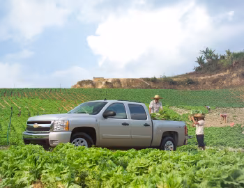 2007–13 Chevrolet Silverado Crew Cab [North America] '2006–13
