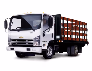 Chevrolet W4500 Single Cab '2007–pr.