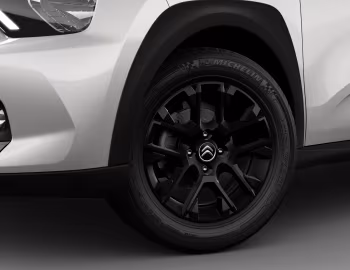 Citroën Basalt "First Edition" [Latam] '2024–н.ч.