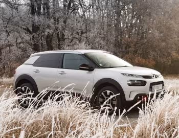 Citroën C4 Cactus [Worldwide] '2018–20