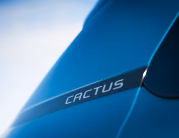 Citroën C4 Cactus [Worldwide] '2018–20