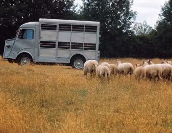 Citroën HY Bétaillère et Heuliez