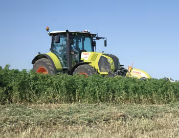 Claas Arion 650 '2012–17