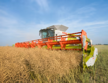 Claas Lexion 780 '2012–н.ч.