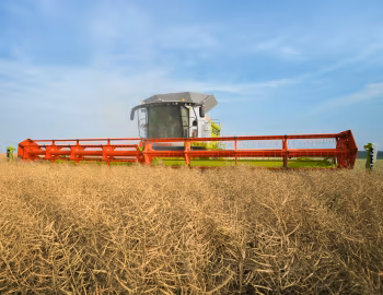 Claas Lexion 780 '2012–pr.