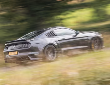 Clive Sutton Ford Mustang CS800 '2017–19
