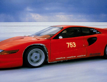 Daytona testa oro sales