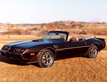 Pontiac Firebird Trans Am Convertible by Contec '1981