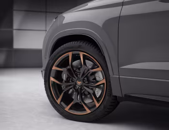 Cupra Ateca "Limited Edition" [Worldwide] '2019–20